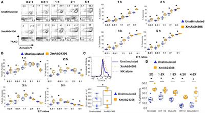 Efbalropendekin Alfa enhances human natural killer cell cytotoxicity against tumor cell lines in vitro